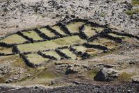 Schutzbereich für Schafe inder Nähe Krater Grabrok