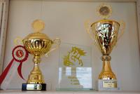 Einige der vielen erzielten Ehrungen mit Islandpferden