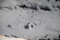 Kochende Schlammquellen Namaskard