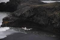 Landspitze von Dyrholaey