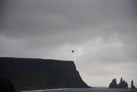 Schwarzer Sandstrand bei Dyrholaey