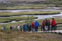 Nationalpark Pingvellir wo die eurasische und amerikanisch Platte auseinander driften  