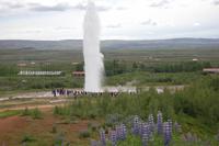 Geysir „Strokkur“ spuckt alle 3 - 6 Minuten