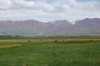 Auf der Fahrt nach Norden Islands