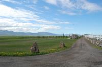 Anna´s Pferdezucht im Norden Islands