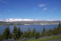 Blick über den Fjord bei Akureyri