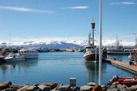 Hafen von Húsavik