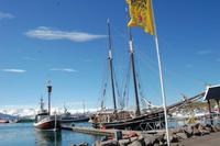 Hafen von Húsavik