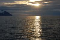 Walbeobachtung ab/an Akureyri - Mitternachtssonne