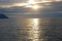 Walbeobachtung ab/an Akureyri - Mitternachtssonne