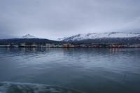 Walbeobachtung ab/an Akureyri - Dämmerung nachts 0.30 Uhr
