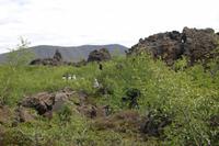 Spaziergang durch das Lava-Labyrinth 