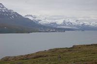 Fahrt entlang der Ostfjorde Islands