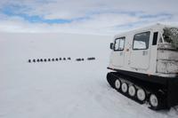 am größten Gletscher Europas 