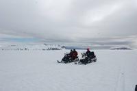 Schlittentour auf dem größten Gletscher Europas 
