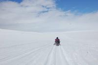 Schlittentour auf dem größten Gletscher Europas 