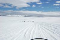 Schlittentour auf dem größten Gletscher Europas 