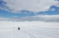Schlittentour auf dem größten Gletscher Europas 