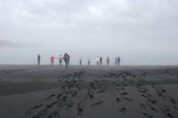 Zufluss der Gletscherlagune zum Meer