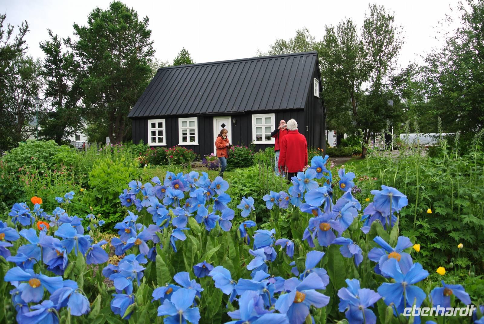 Botanischer Garten in Akureyri