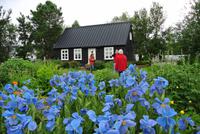 Botanischer Garten in Akureyri