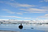 Gletscherlagune Jökulsarlon