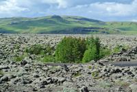 Lavesteinfeld vor Vik