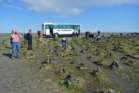 Steinsäulen Lanfskalavarda