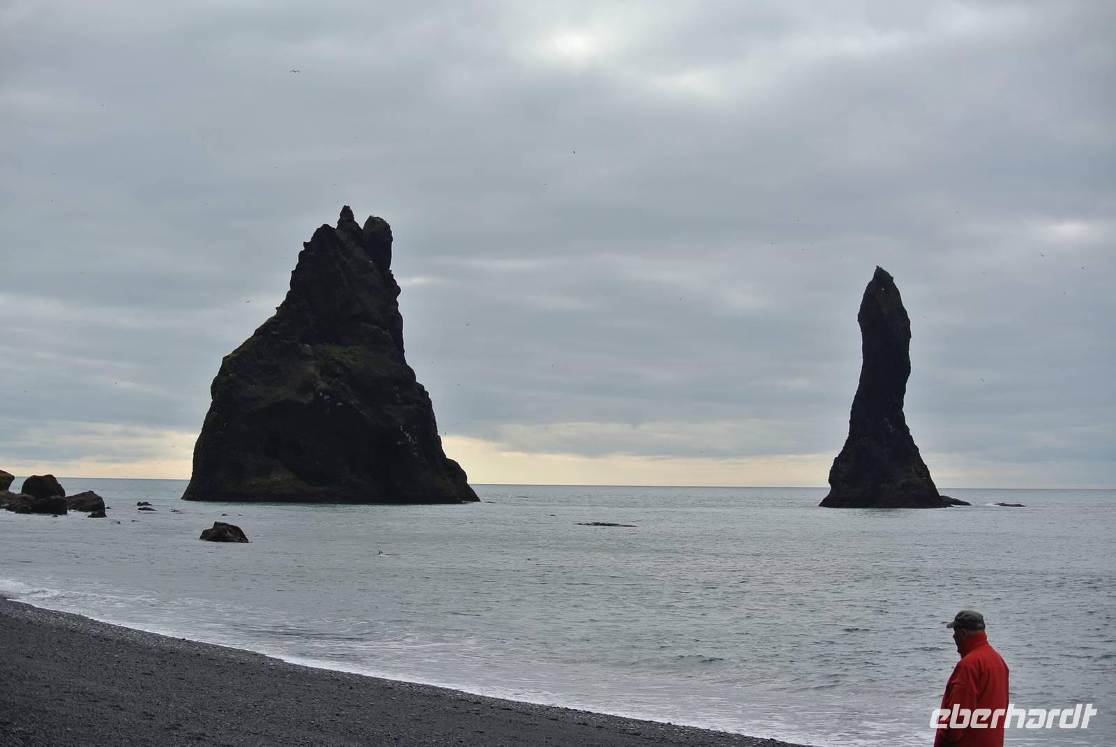 Landspitze Dyrholaey
