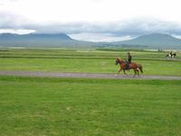 Pferdehof Flugumýri in Skagafjörður