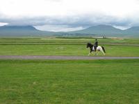 Pferdehof Flugumýri in Skagafjörður