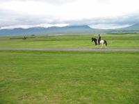 Pferdehof Flugumýri in Skagafjörður