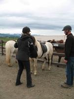 Pferdeausflug in Akureyri