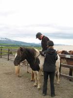 Pferdeausflug in Akureyri