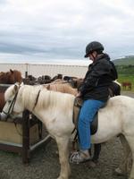 Pferdeausflug in Akureyri