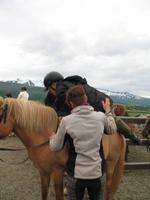 Pferdeausflug in Akureyri