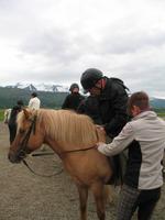 Pferdeausflug in Akureyri