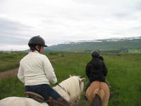 Pferdeausflug in Akureyri