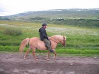 Pferdeausflug in Akureyri