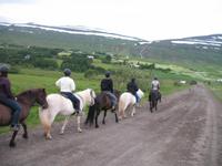 Pferdeausflug in Akureyri