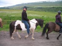 Pferdeausflug in Akureyri