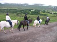 Pferdeausflug in Akureyri