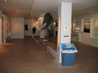 Walmuseum in Húsavík