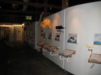 Walmuseum in Húsavík