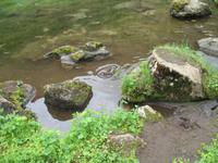 Felsenschlucht Ásbyrgi