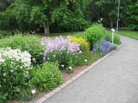 Botanischer Garten in Akureyri
