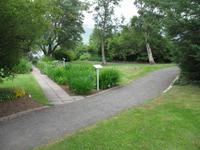 Botanischer Garten in Akureyri