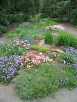 Botanischer Garten in Akureyri