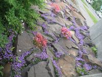 Botanischer Garten in Akureyri