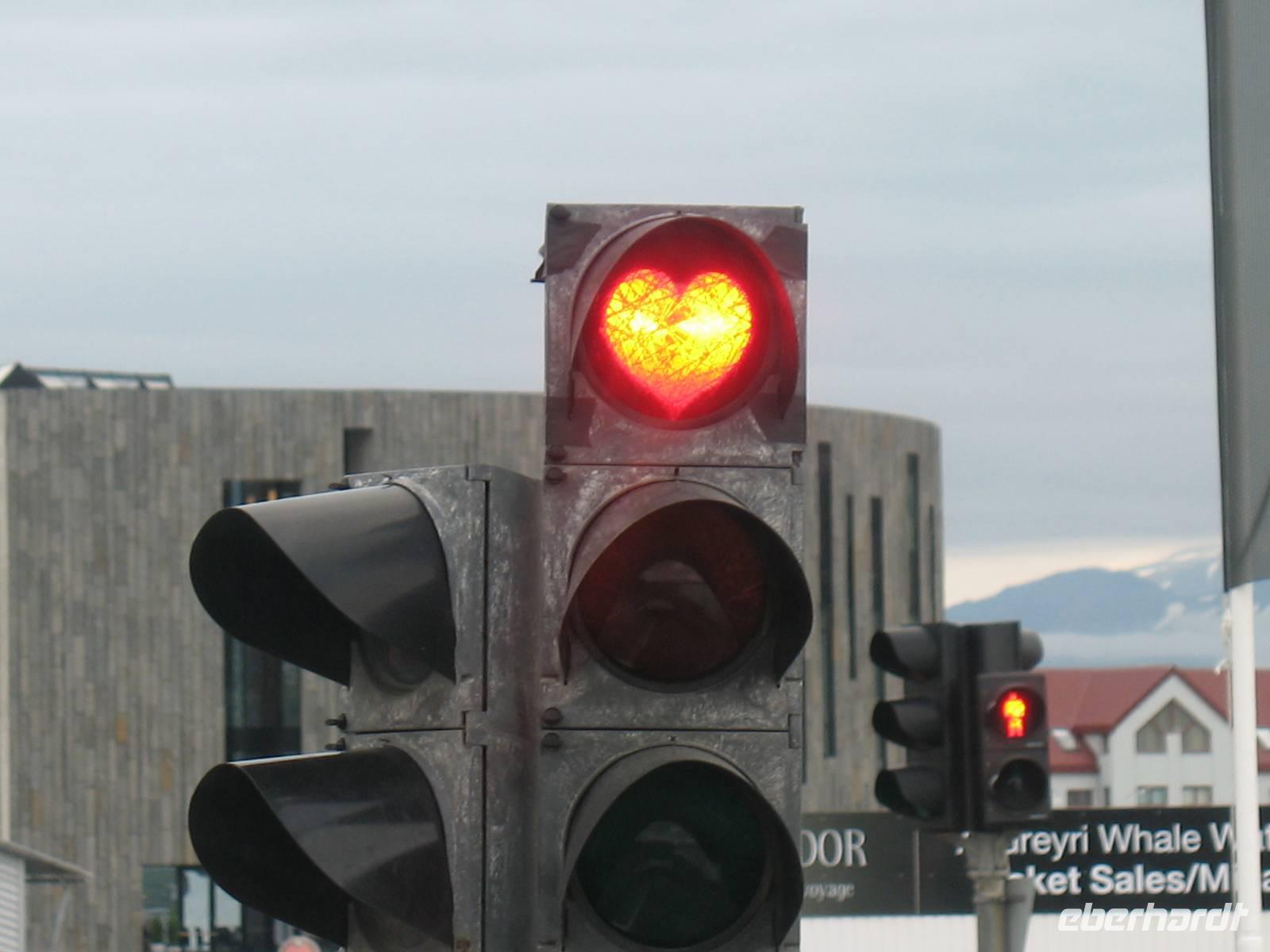 Walbeobachtung mit Ambassador bei Akureyri
